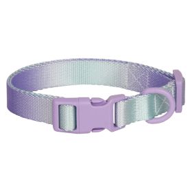 Large Anti-rust Gradient In Dog Collar (Option: Purple Green-L)